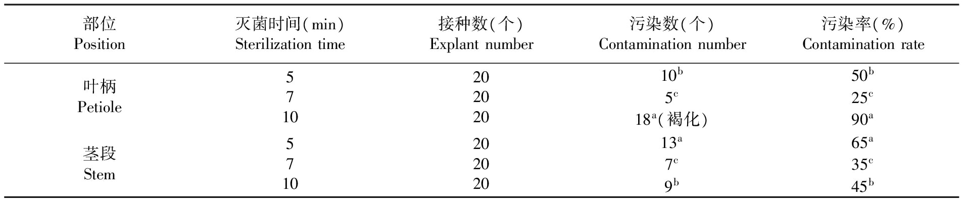 植物組培設備