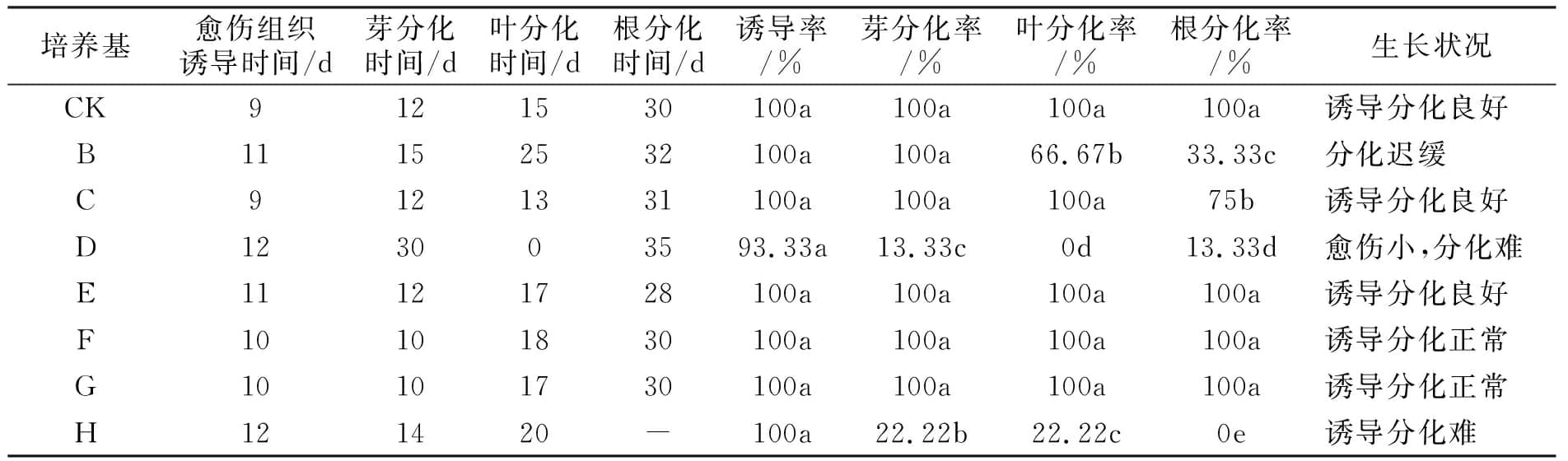 組培設計圖