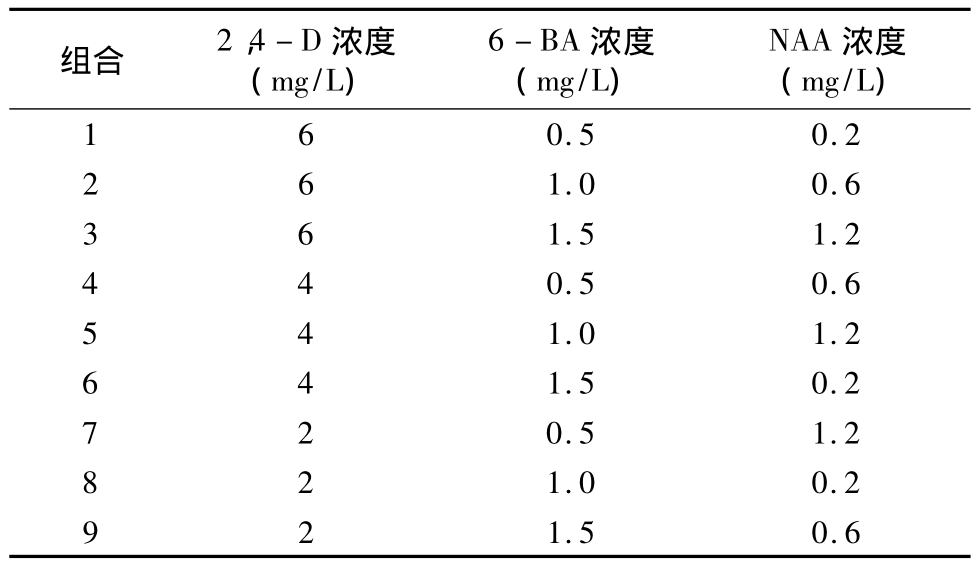 組培實驗室