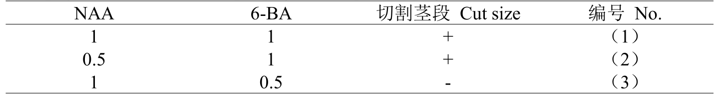 組培室設計