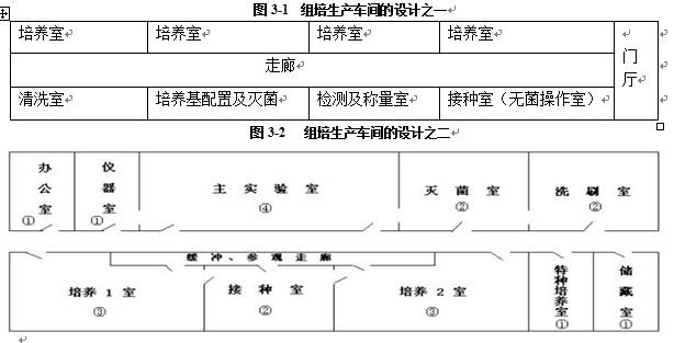 組培室設計